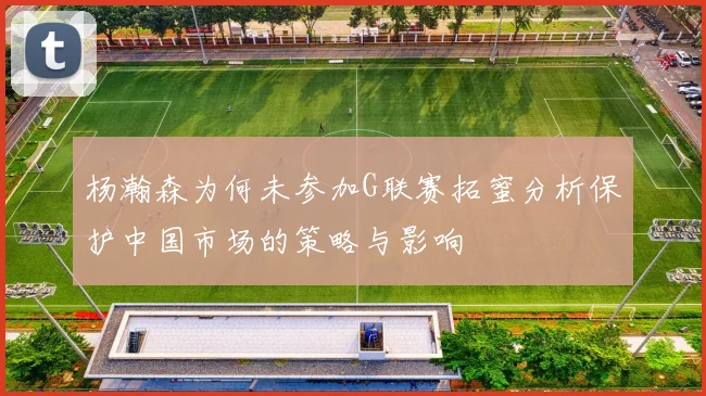杨瀚森为何未参加G联赛拓蜜分析保护中国市场的策略与影响