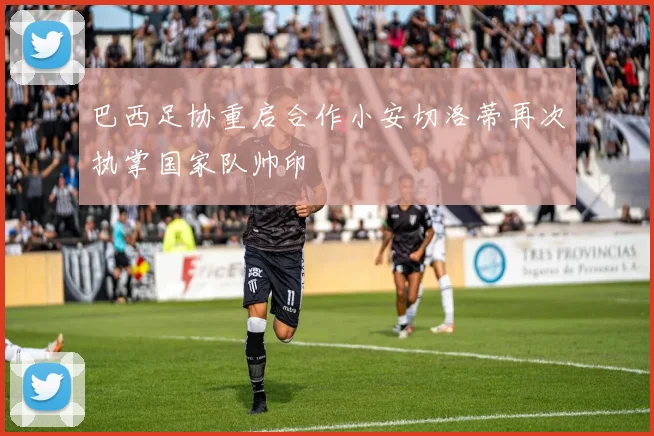 巴西足协重启合作小安切洛蒂再次执掌国家队帅印
