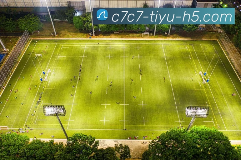 App Interface Preview